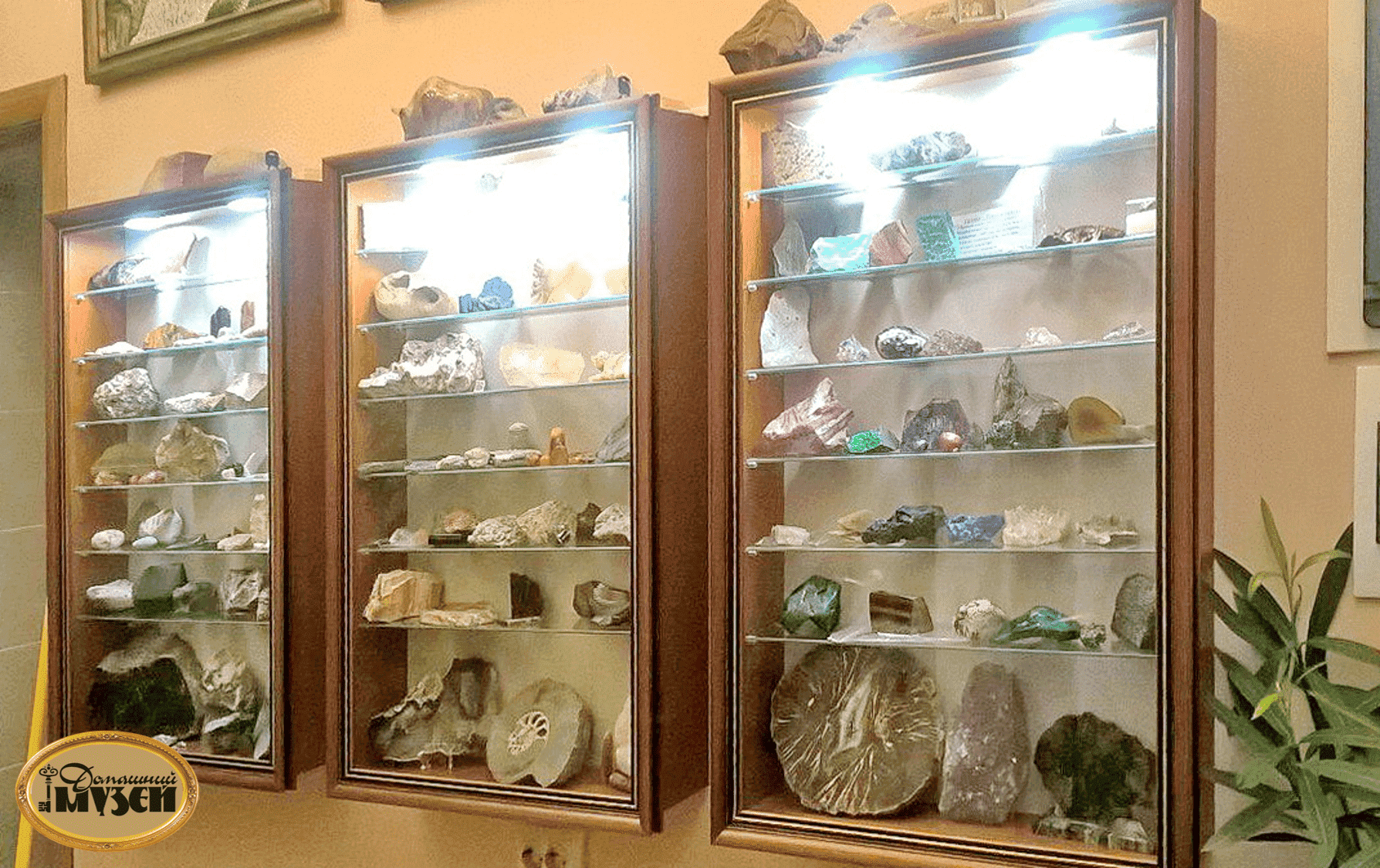 витрина для коллекции минералов
