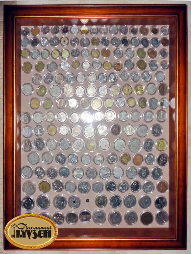 Витрина для монет и бон, 50 см x 40 см, вертикальная