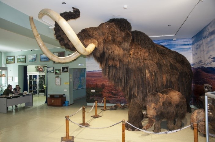 музей мамонтов в Якутске