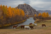 5 мест в России, где самая красивая осень