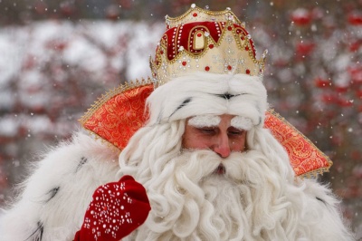 Самые большие коллекции фигурок Деда Мороза в России