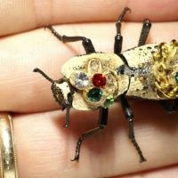 «Живые» броши родом из Мексики: как делают украшения из жуков