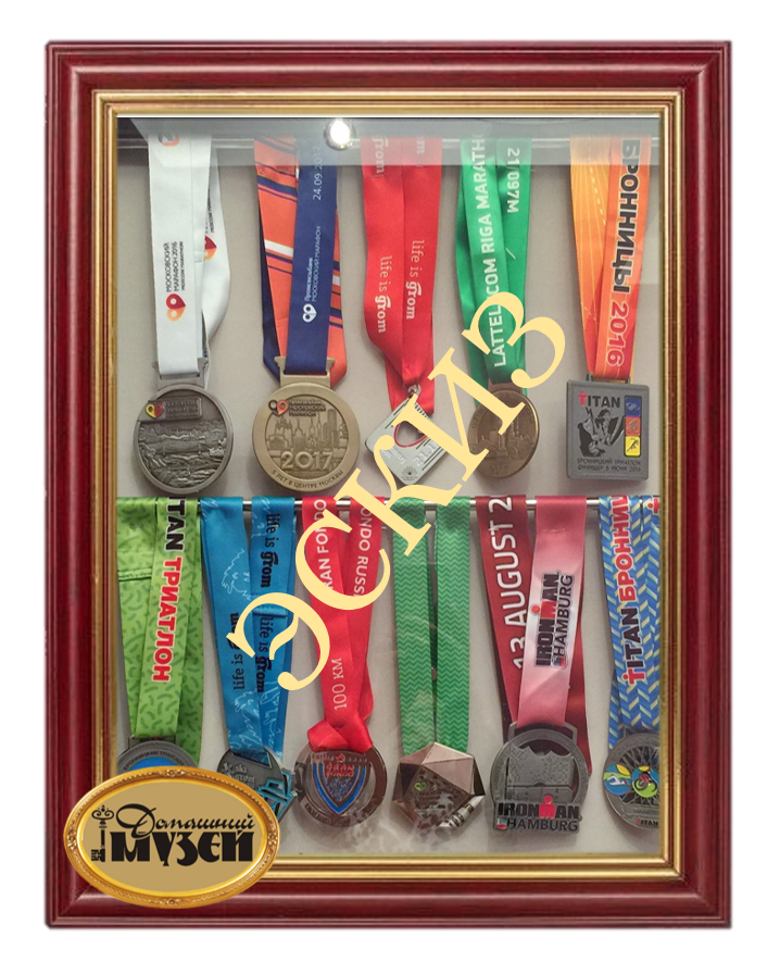 Витрина с вешалами для спортивных медалей, 50 см x 40 см, вертикальная