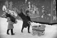 Мандарины, оливье и живая елка: как встречали Новый год в СССР
